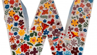 women network photo by Lona xlm